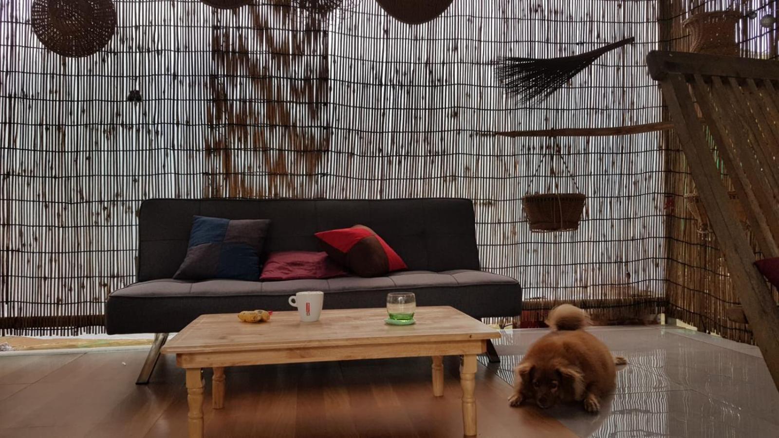 Bloom Garden Bed & Breakfast シェムリアップ エクステリア 写真
