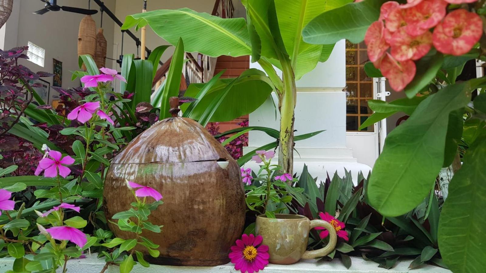 Bloom Garden Bed & Breakfast シェムリアップ エクステリア 写真